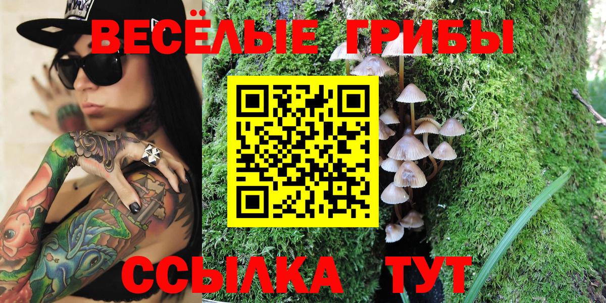 Псилоцибиновые грибы Psilocybine cubensis  Вход с VPN  Анапа 